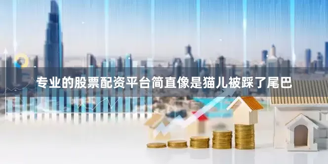 专业的股票配资平台简直像是猫儿被踩了尾巴